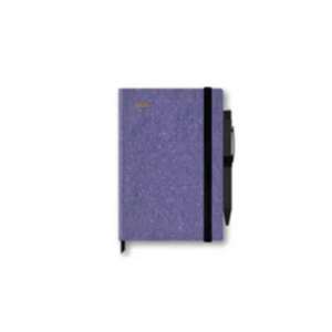 AGENDA SHINE IT UP GIORNALIERA