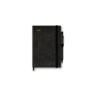 AGENDA SHINE IT UP GIORNALIERA